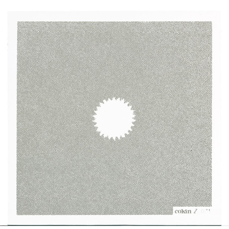 Filtre C.Spot WA Incolor 2 L (Z-PRO Series)