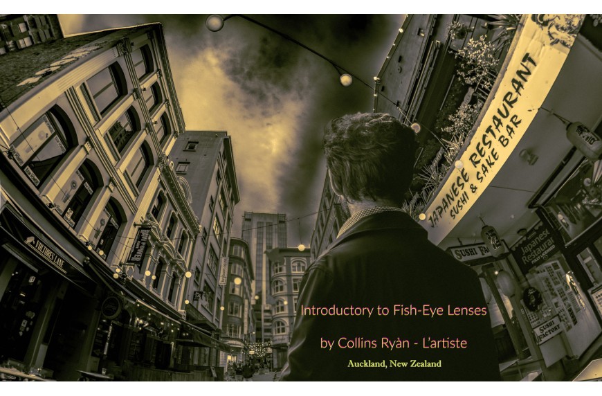 Une introduction aux objectifs de type Fish-eye, par Collins Ryan